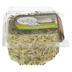 Jonathan's Sprouts Org Alfalfa Sprouts