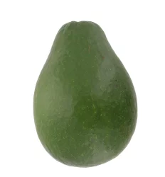 Florida Avocado