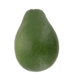 Florida Avocado