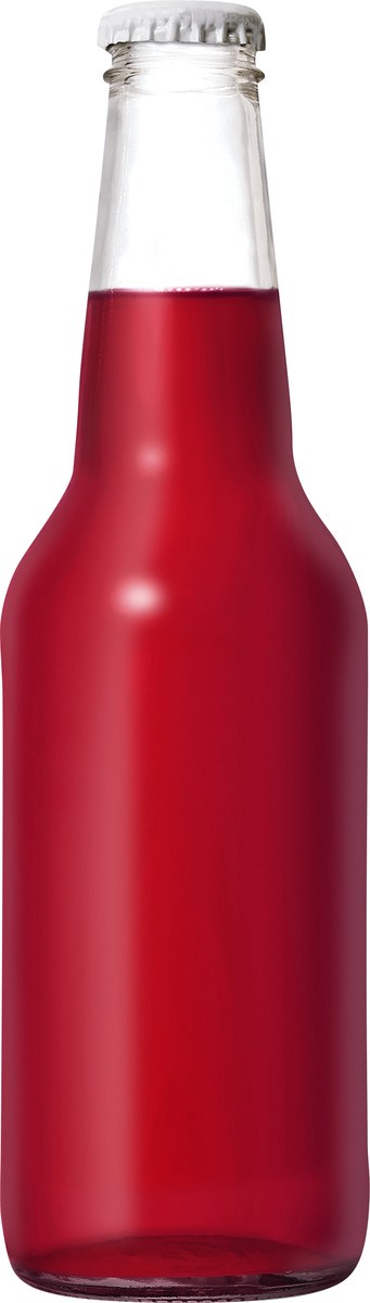 slide 9 of 10, Izze Sparkling Blueberry Juice Beverage - 12 oz, 12 oz