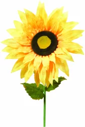 Jumbo Sunflower Stem Kd