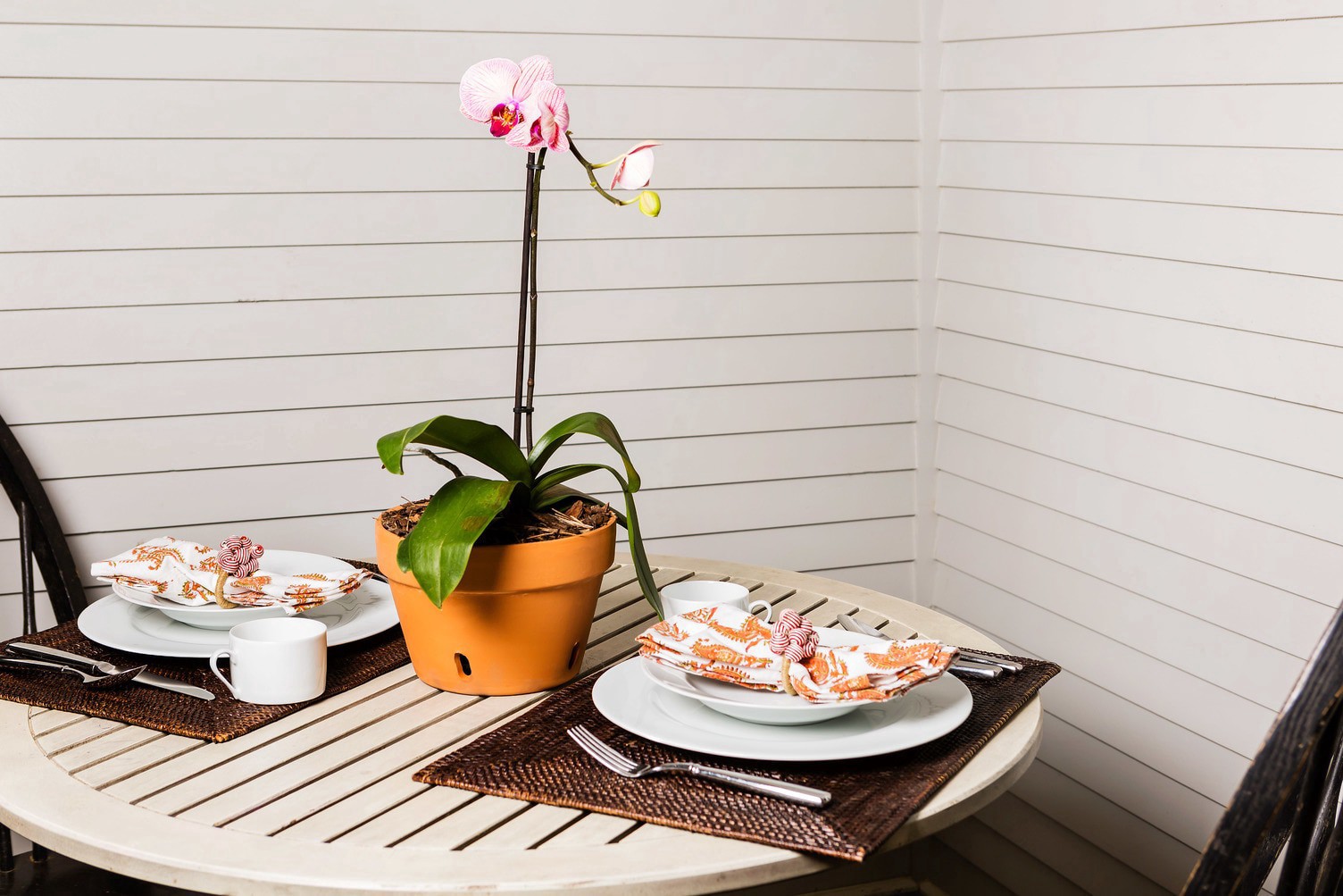 slide 5 of 6, Pennington Terracotta Pot, 1 ct