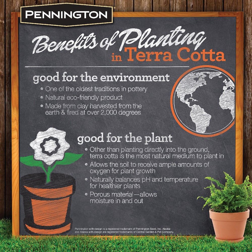 slide 3 of 6, Pennington Terracotta Pot, 1 ct