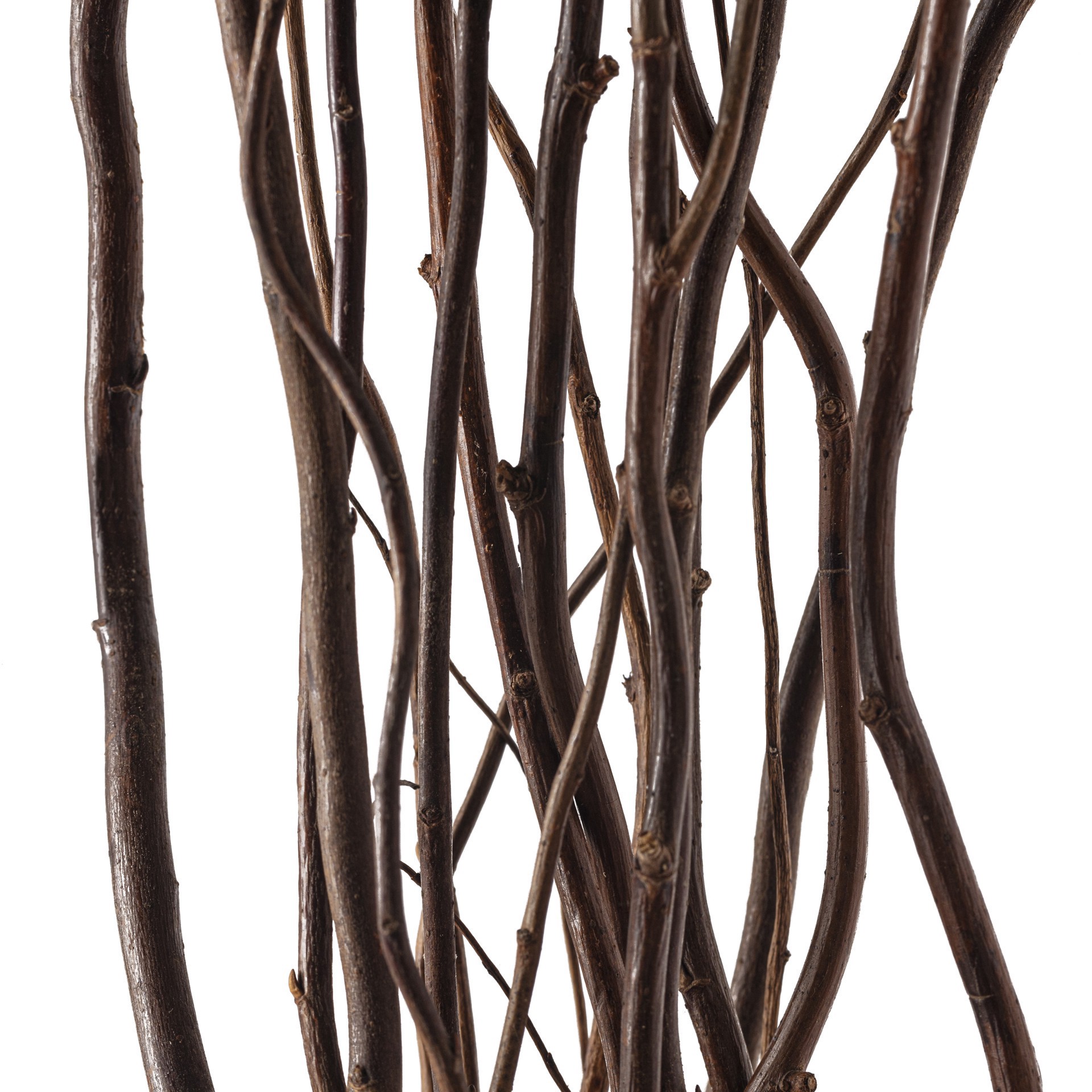 slide 2 of 4, Natural Tall Curly Willow By Ashland, 30 in