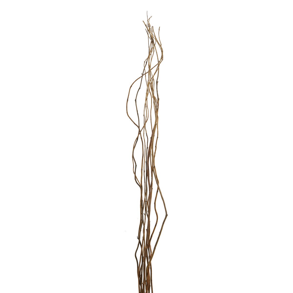 slide 3 of 4, Natural Tall Curly Willow By Ashland, 30 in
