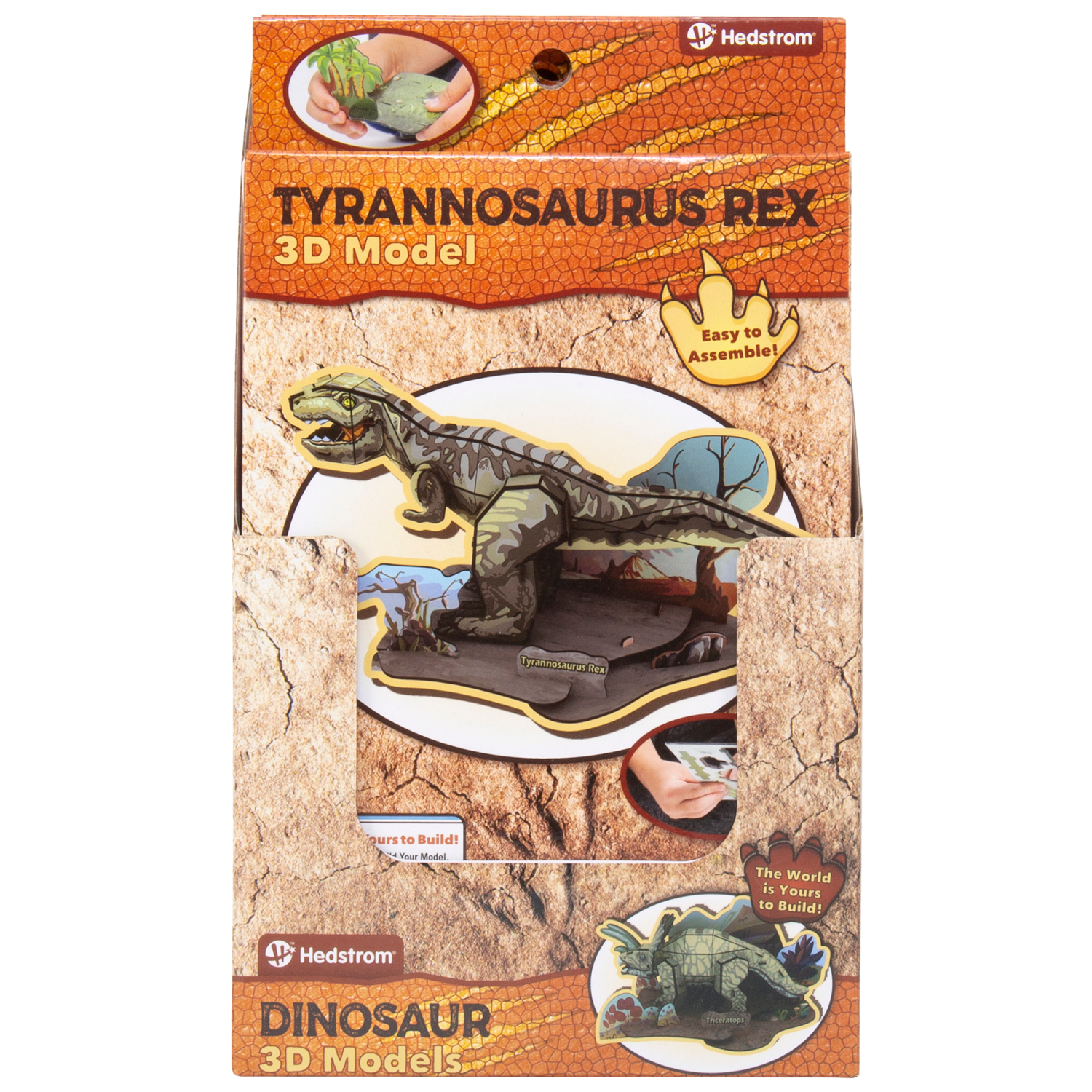 slide 1 of 1, Hedstrom Dinosaur 3D Models, 1 ct