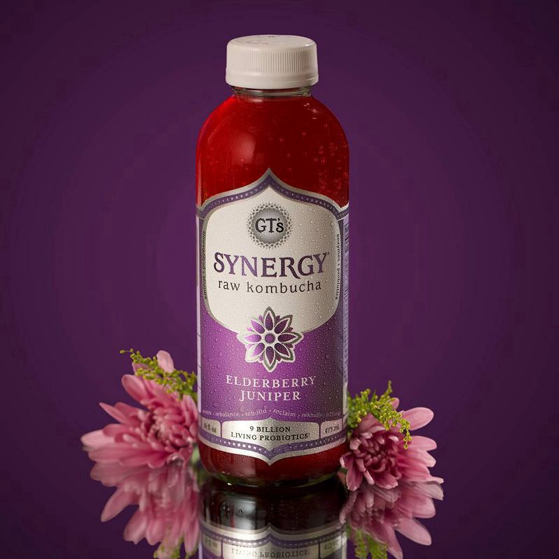 slide 3 of 3, GT's Raw Elderberry Juniper Kombucha 16 fl oz, 16 ct