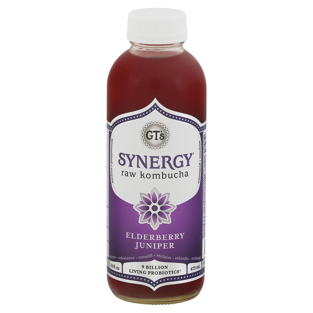 slide 1 of 3, GT's Raw Elderberry Juniper Kombucha 16 fl oz, 16 ct