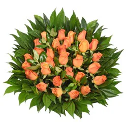 Bloom Haus 30 Plus Rose Bouquet - Orange