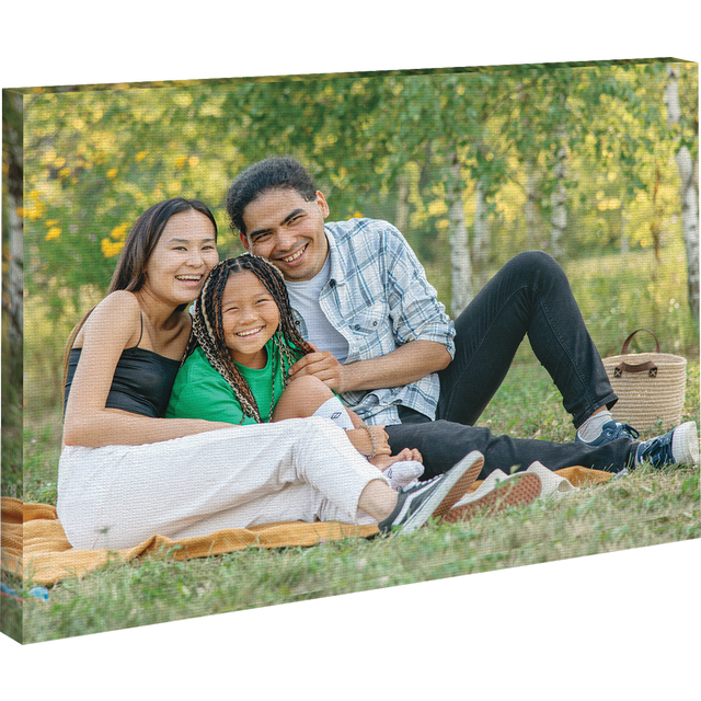 slide 1 of 1, KODAK ALARIS 16X20 Canvas Ol, 1 ct