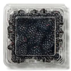 Fresh Blackberries 6 oz
