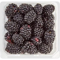 Blackberries