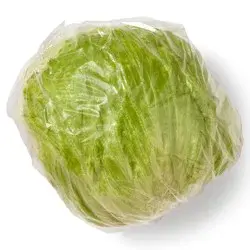 Iceberg Head Lettuce