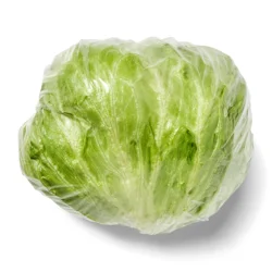 Iceberg Head Lettuce