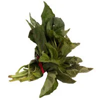 Basil Bunch Prepacked