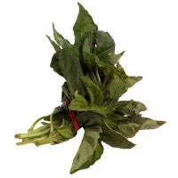 Basil Bunch Prepacked