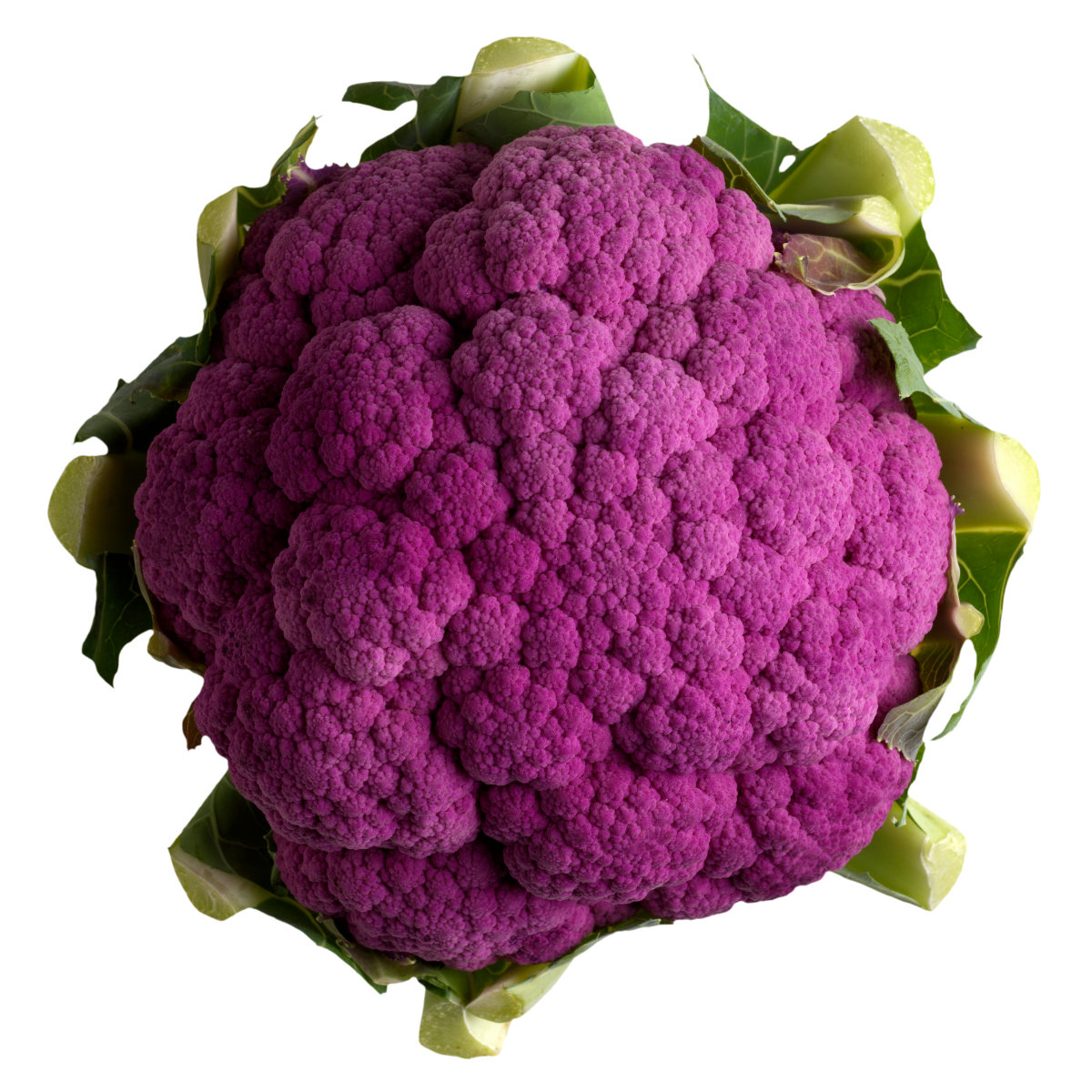 slide 1 of 1, Purple Cauliflower, 1 ct
