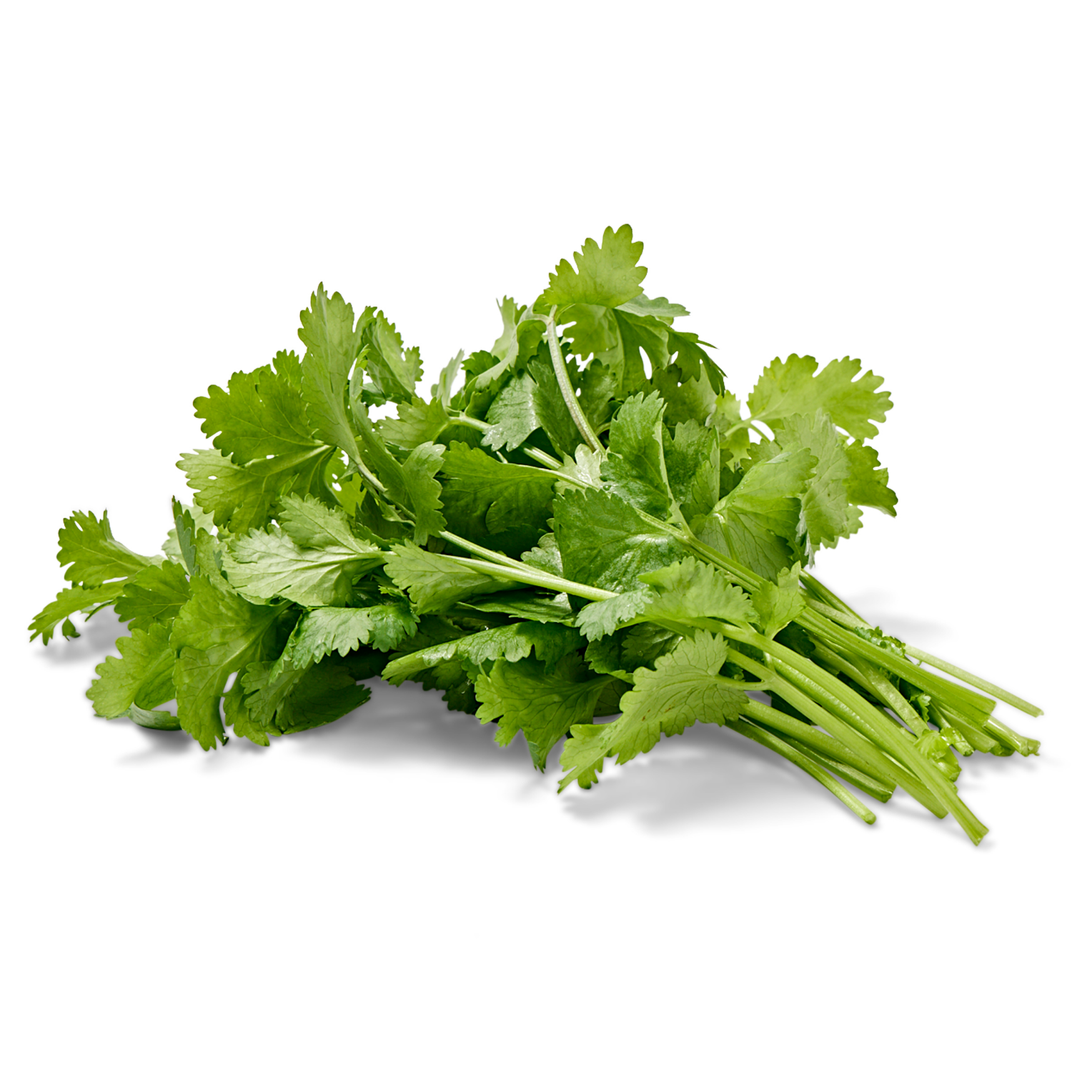 slide 2 of 2, Cal-Organic Farms Cilantro, organic, 1 ct