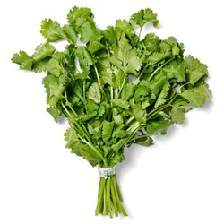 Organic Cilantro Bunch