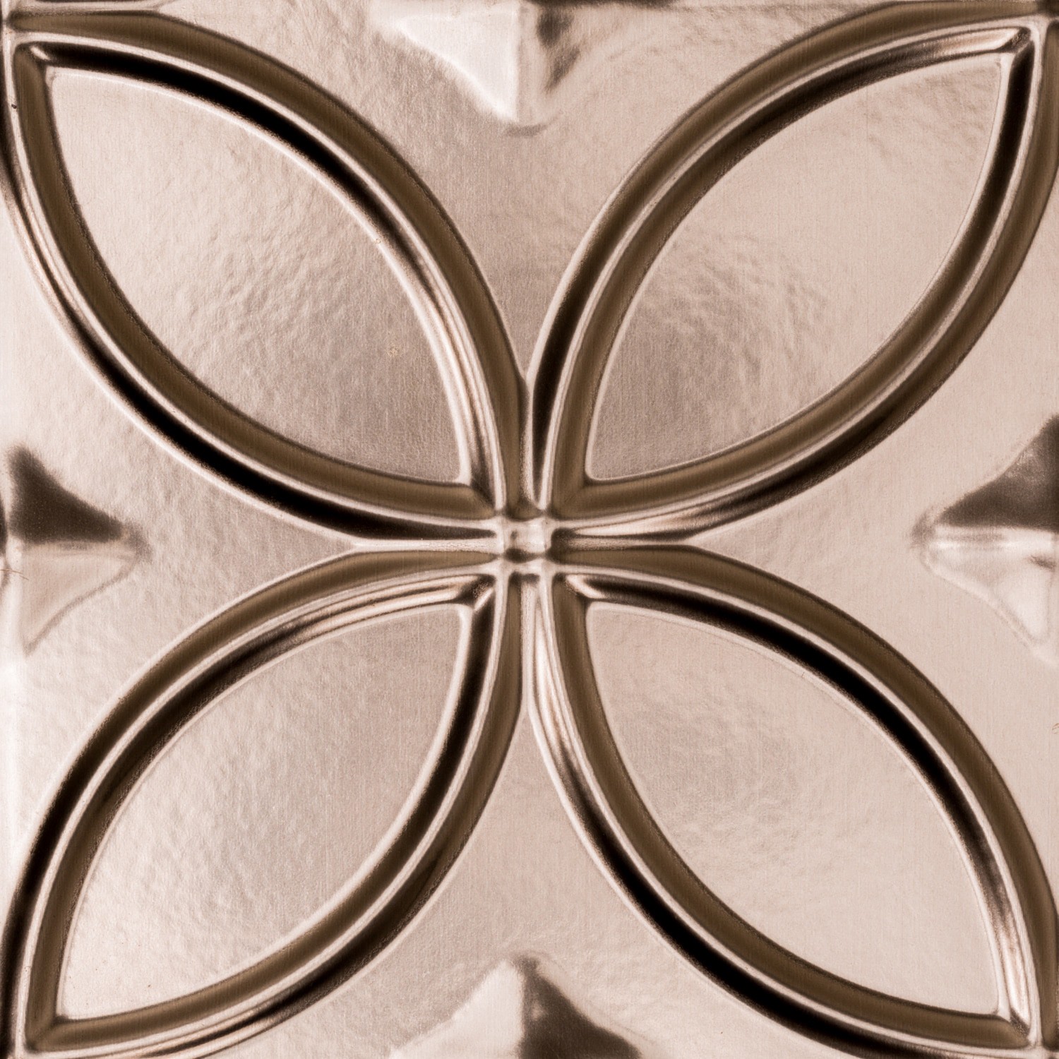slide 2 of 6, Fasade Rings 18.5-in x 24.5-in Thermoplastic Brushed nickel Backsplash Panels, 1 ct