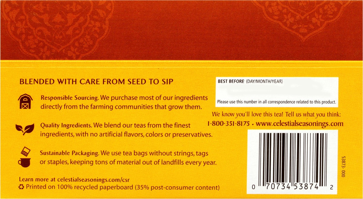 slide 3 of 11, Celestial Seasonings Spiced Espresso Chai Tea Bags 20 ct Box, 20 ct