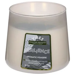 Essential Elements Vibes Resilience Fruity Floral Jar Candle