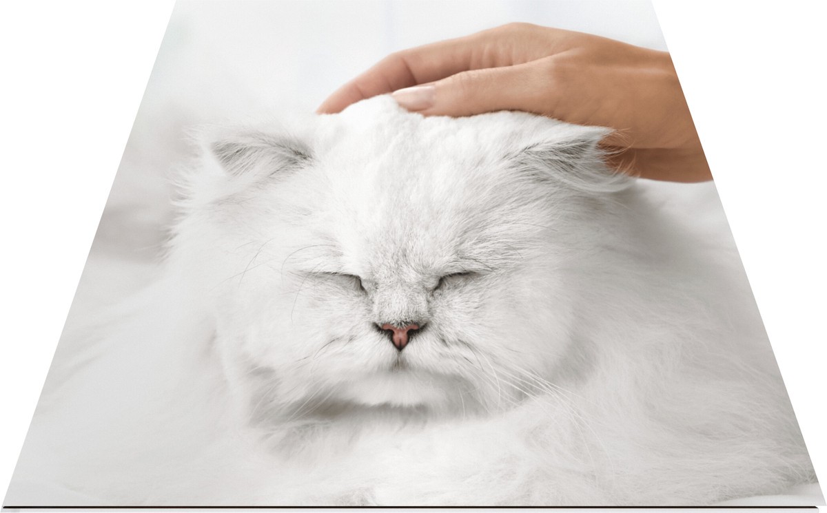 slide 6 of 10, Fancy Feast Purina Fancy Feast Gems Mousse Pate With Salmon and Halo of Savory Gravy Cat Food - 4 oz. Box, 4 oz