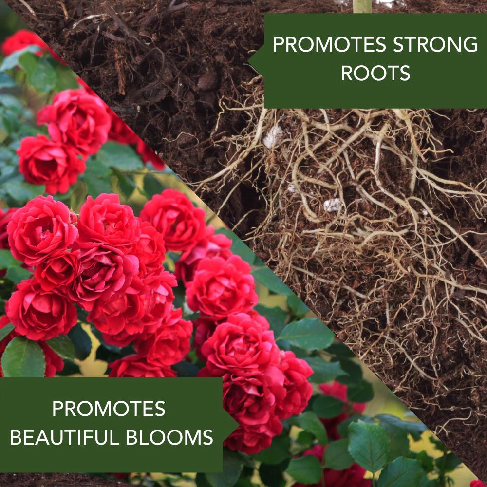 slide 3 of 6, BioAdvanced All-in-One Rose and Flower Care 4-lb Water-soluble Granules Flower Food, 1 ct