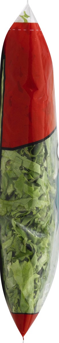 slide 6 of 6, Fresh Express Lettuce Green Leaf Shreds, 4.5 oz