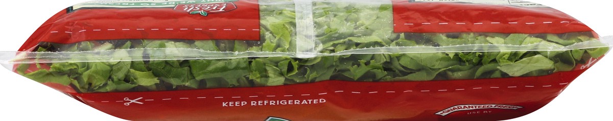 slide 5 of 6, Fresh Express Lettuce Green Leaf Shreds, 4.5 oz