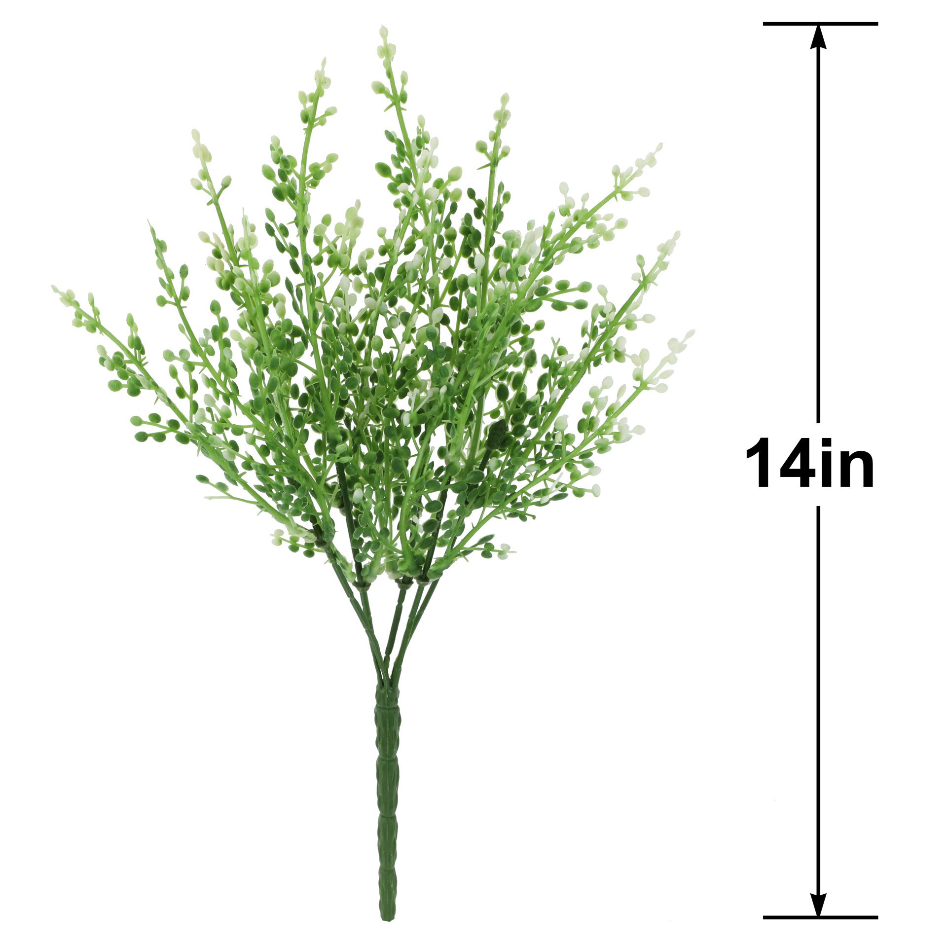 slide 2 of 3, 14" Berry Bush by Ashland, 14 in