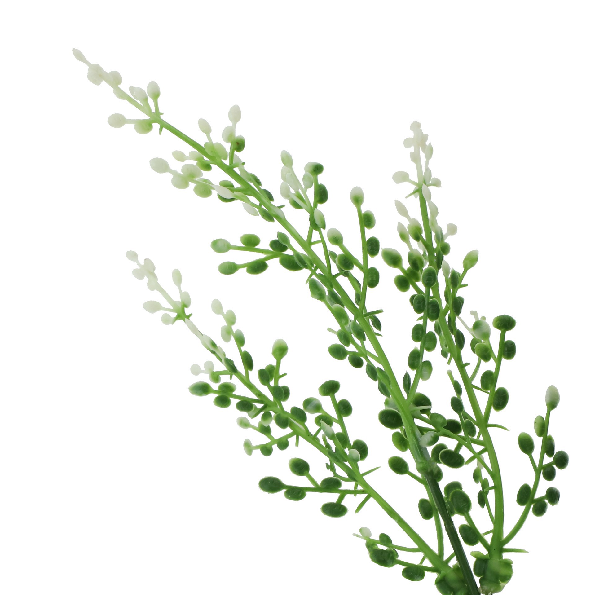 slide 3 of 3, 14" Berry Bush by Ashland, 14 in