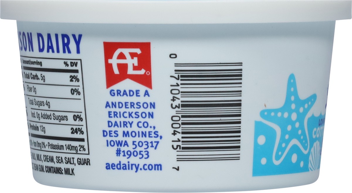 slide 7 of 11, AE Dairy Lowfat 2% Milkfat Cottage Cheese with Sea Salt 12 oz, 12 oz