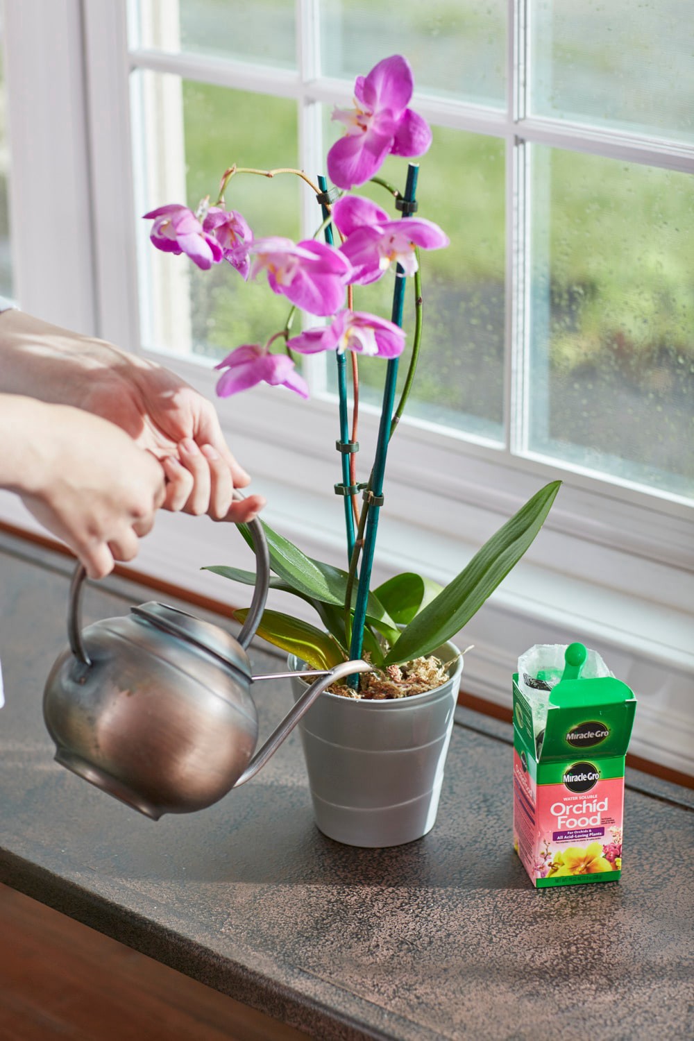 slide 2 of 6, Miracle-Gro Orchid Food 8-oz 30-10-10 Water-soluble Granules Indoor Plant Food, 1 ct