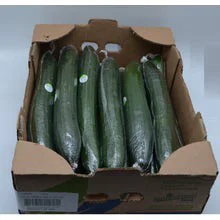 Seedless Cucumbers