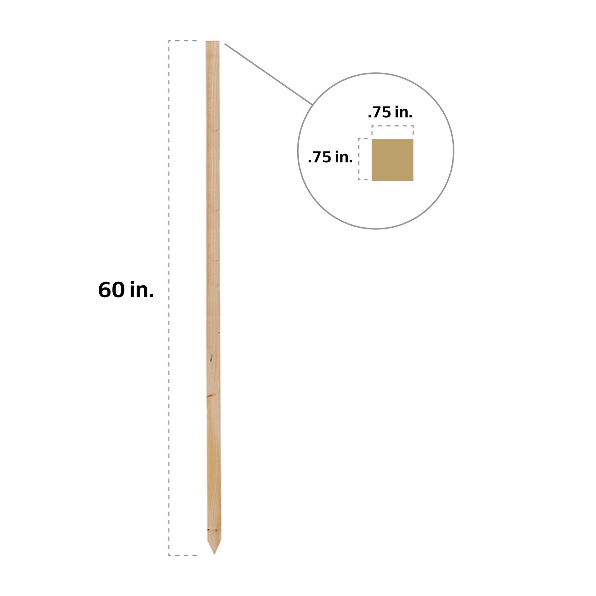 slide 6 of 6, 6 -Pack 60-in Wood Multipurpose Landscape Stake, 1 ct