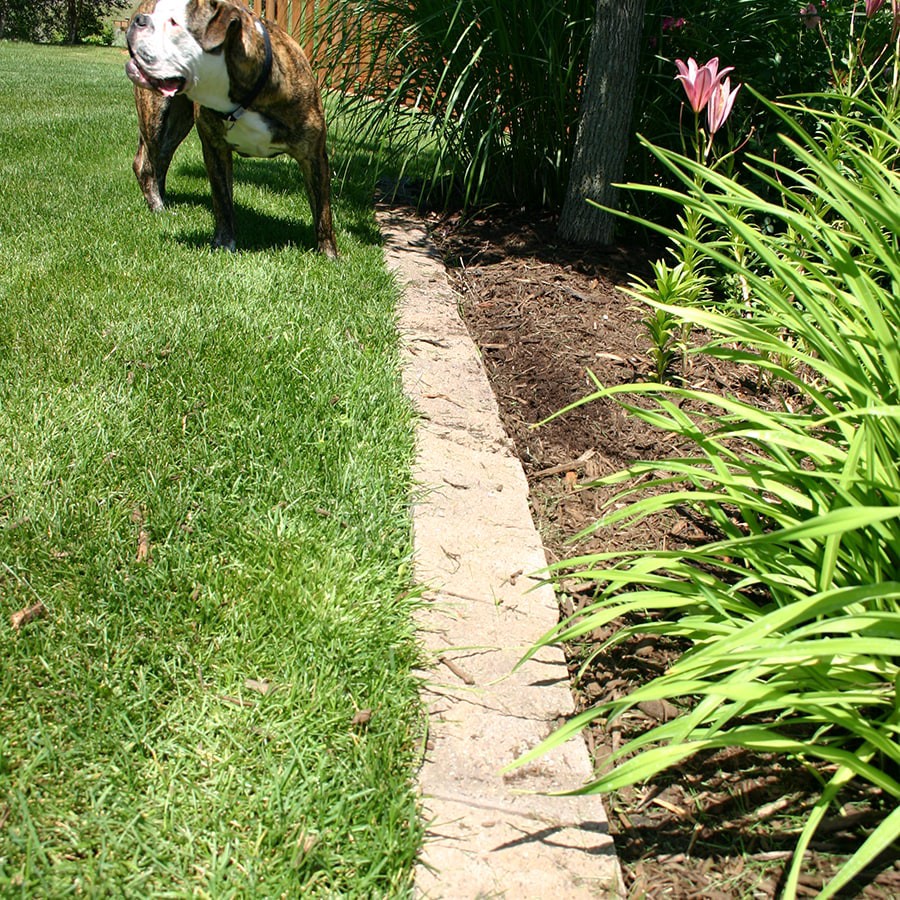 slide 4 of 6, Insignia 8-in L x 5-in W x 3-in H Tan Concrete Straight edging stone, 1 ct