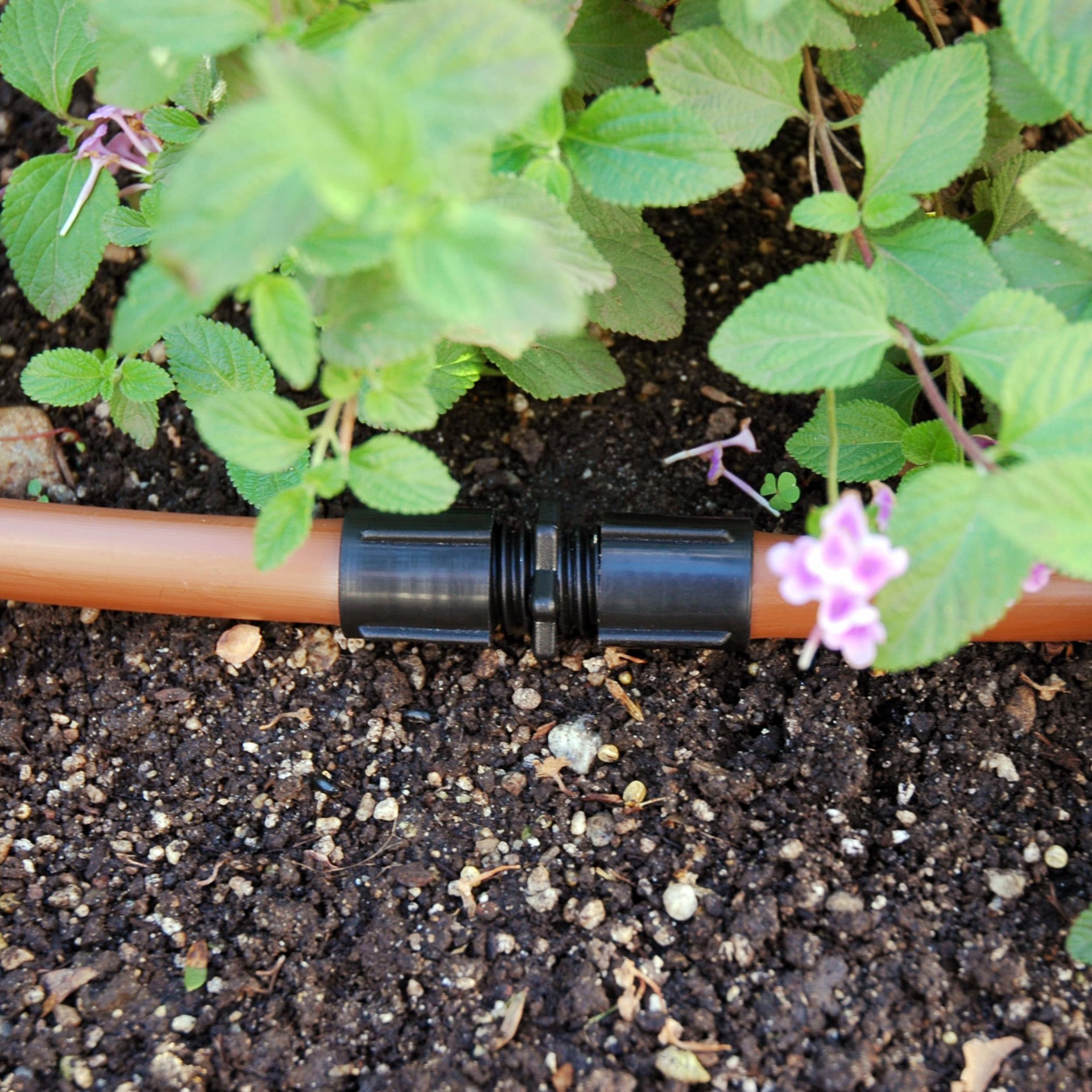 slide 3 of 6, Raindrip Universal Plastic Drip Irrigation Coupling, 1 ct