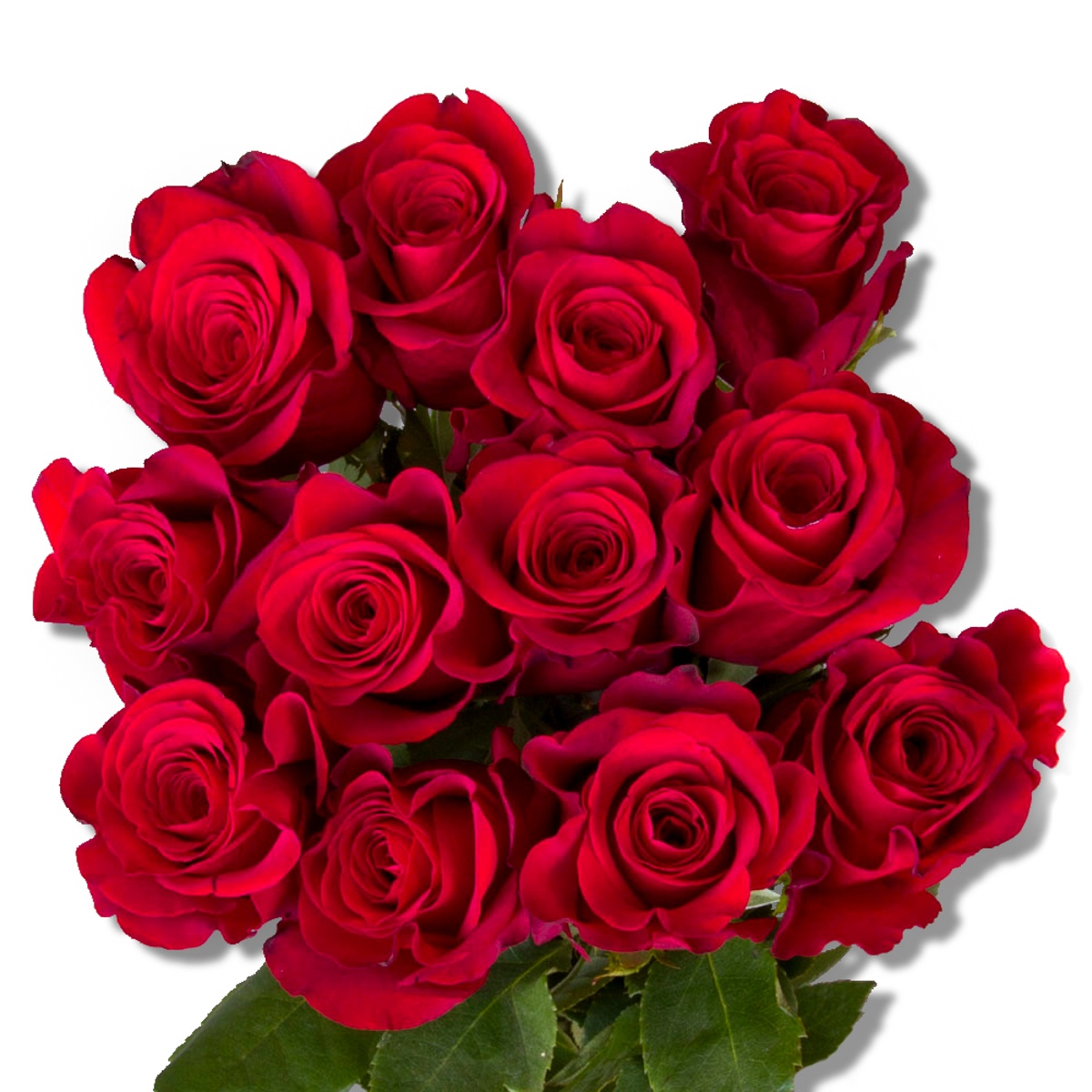 slide 1 of 1, K Roses Dozen Red, 