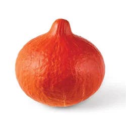 Fresh Red Kuri Squash