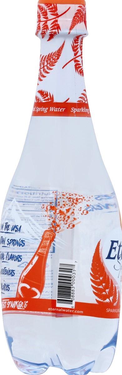 slide 4 of 4, Eternal Blood Orange Sparkling Water - 16.9 fl oz, 16.9 fl oz