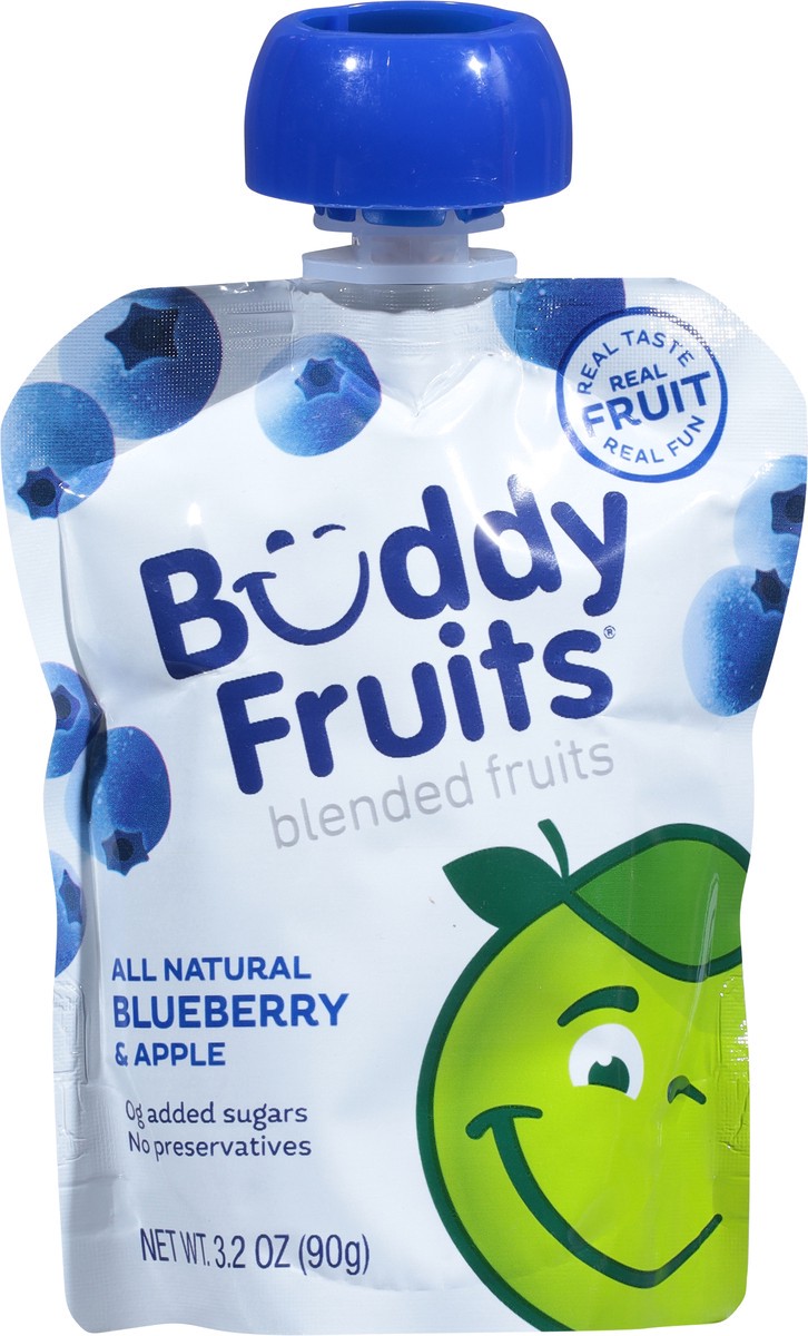 slide 6 of 9, Buddy Fruitss All Natural Blueberry & Apple Blended Fruits Pouch, 3.2 oz
