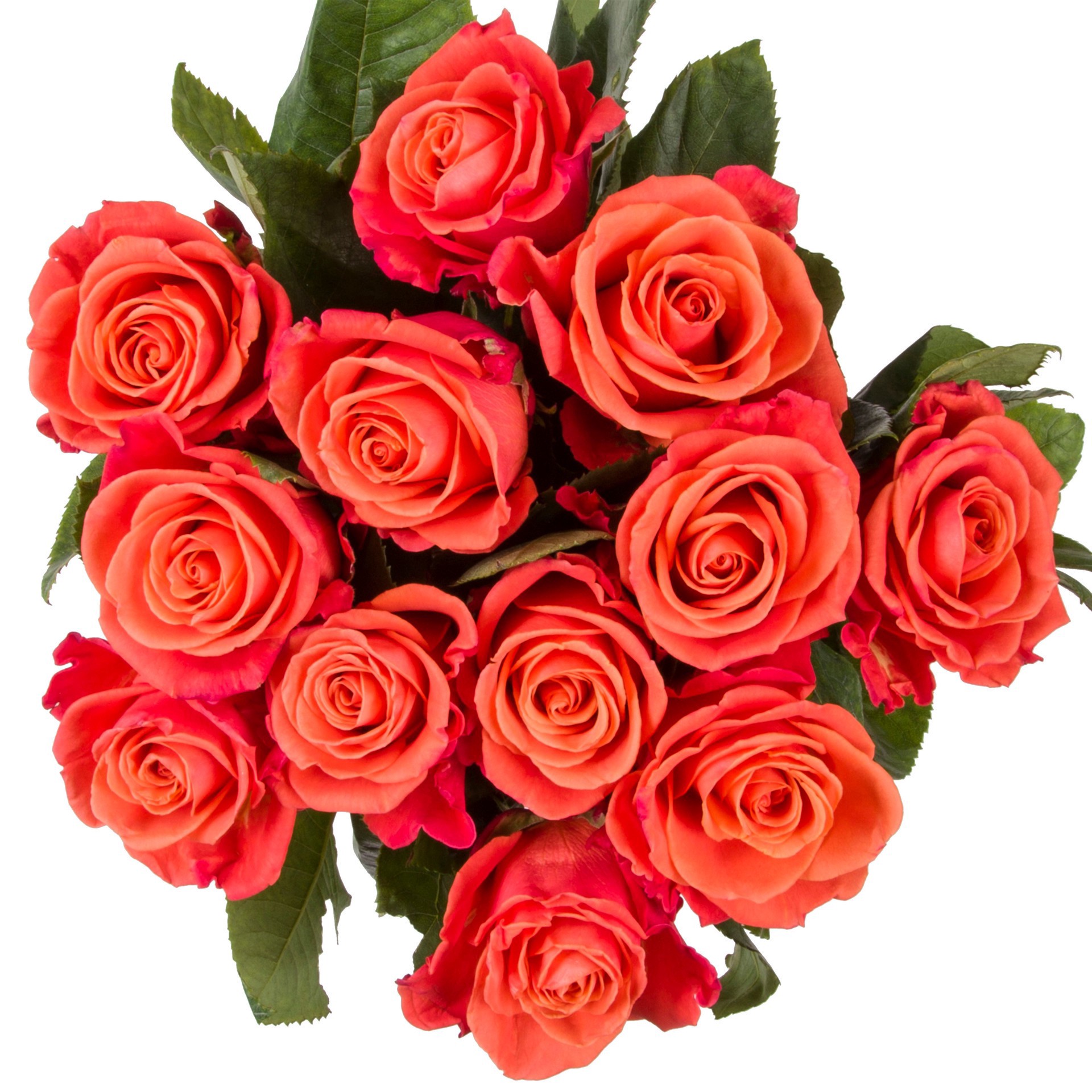 slide 1 of 1, K Roses Dozen Orange, 