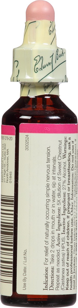 slide 2 of 11, Bach Original Flower Remedies Sweet Chestnut 0.7 fl oz, 0.7 fl oz