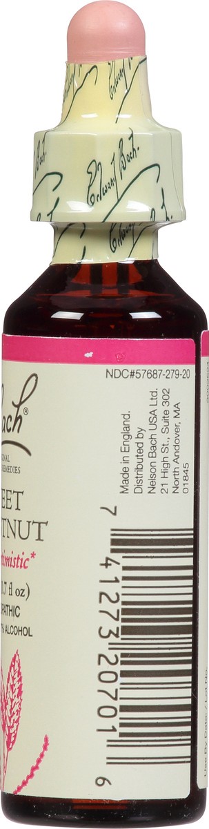 slide 5 of 11, Bach Original Flower Remedies Sweet Chestnut 0.7 fl oz, 0.7 fl oz