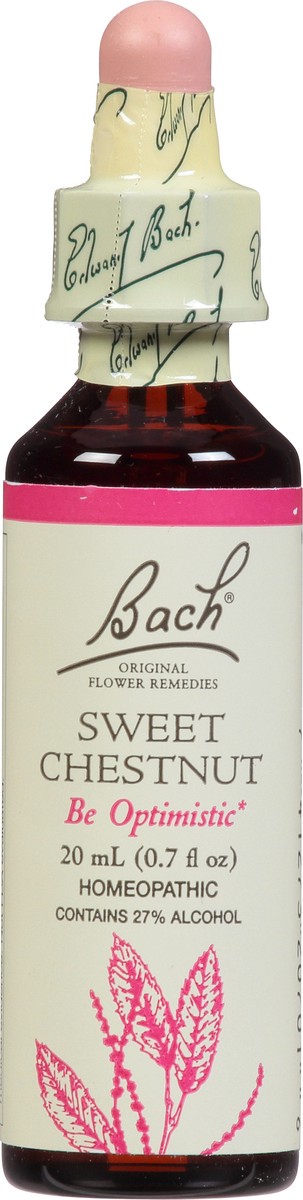 slide 4 of 11, Bach Original Flower Remedies Sweet Chestnut 0.7 fl oz, 0.7 fl oz