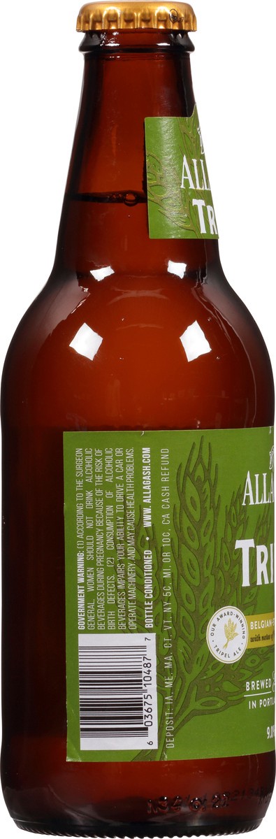 slide 3 of 9, Allagash Tripel Beer 12 fl oz, 12 fl oz