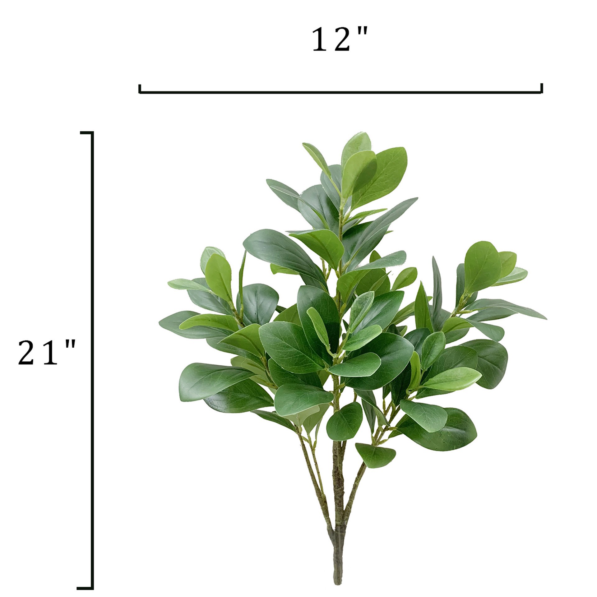slide 4 of 4, 21" Green Watercress Bush By Ashland, 21 in