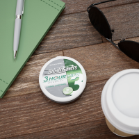 slide 4 of 21, Breath Savers Spearmint Flavored Sugar Free Breath Mints Tin, 1.27 oz, 1.27 oz