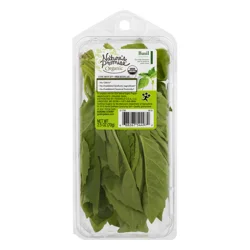Nature's Promise Organic Basil Leaves